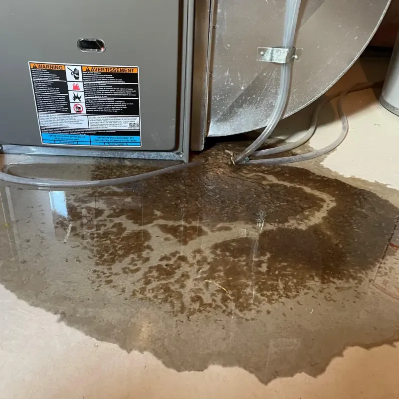 Appliance Leak Cleanup in Dalton, OH