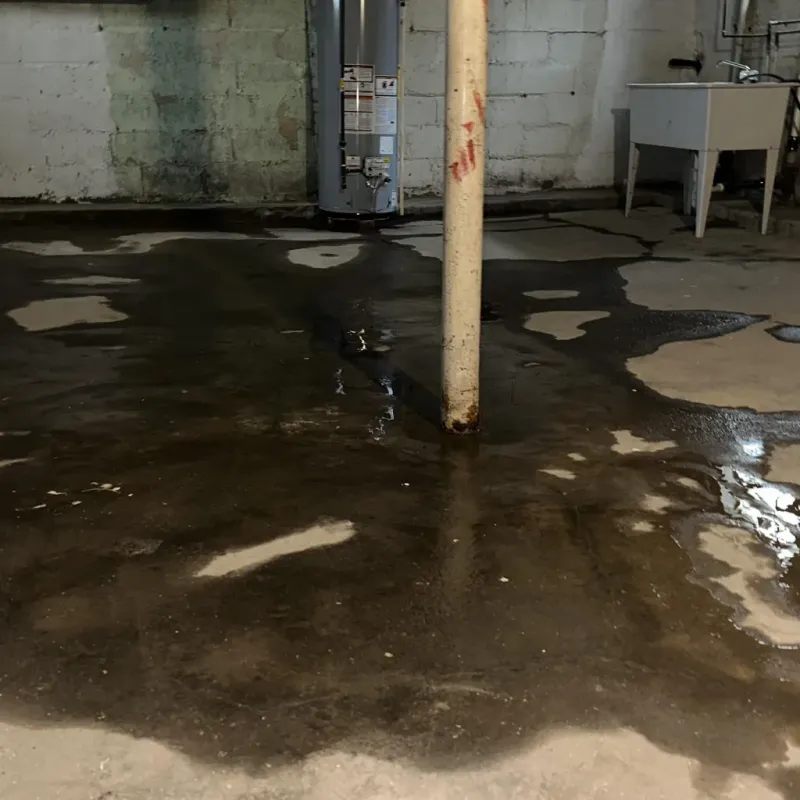 Emergency Water Extraction And Removal in Dalton, OH